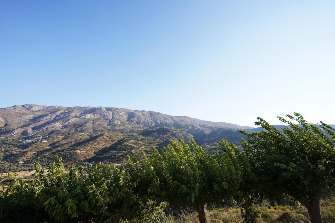Villa Tzekos Kendrochori Exteriör bild